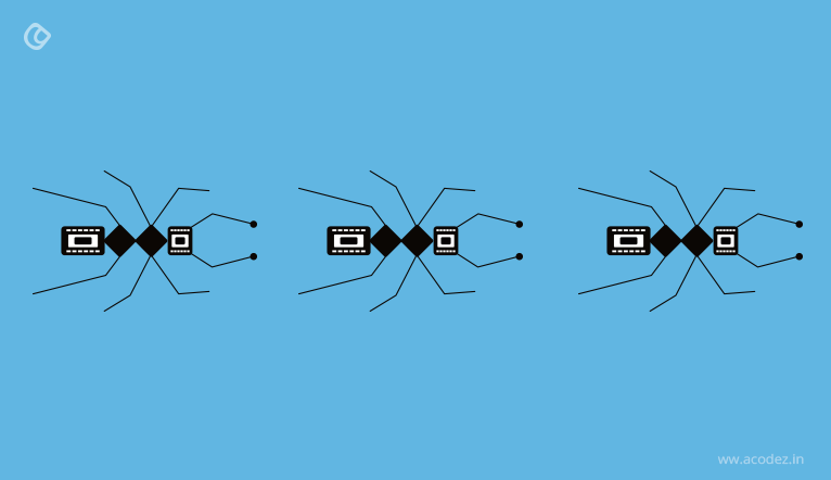ants source of algorithm for humans