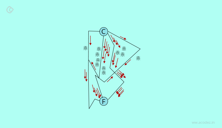 ant colony exploring path