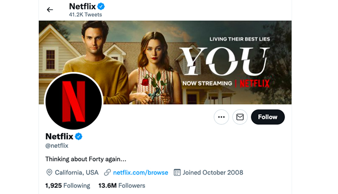 Netflix Account